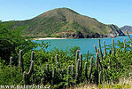 Isla Margarita (<em>VA</em>)