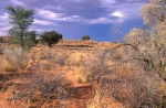 Kalahari (<em>ZA</em>)