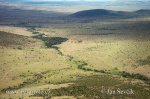 Masai Mara (<em>AIR</em>)