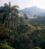 Pohoří Escambray (<em>C</em>)