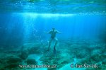 Potápení šnorchlování (Diving)