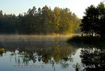 Rybník Nové Jezero (<em>Fishpond</em>)