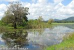 Sladkovodní jezero u vesnice Giritale (<em>CL</em>)