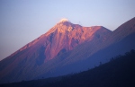 Sopka Fuego (<em>GCA</em>)