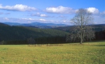 Šumava (<em>Sum</em>)