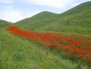 Tádžikistán (TAD)