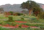 Tsavo East (<em>KA</em>)