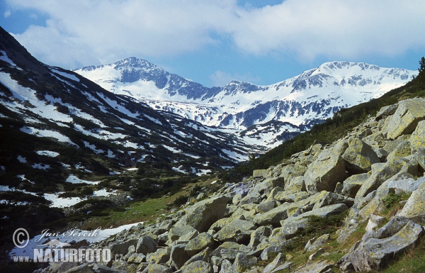 Národní park Pirin (BG)