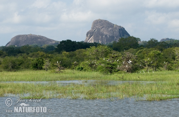 Národní park Yala (CL)