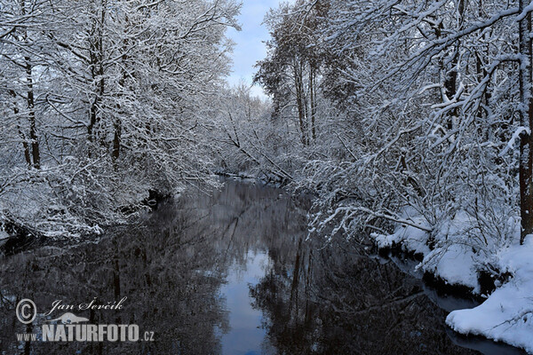 Nová řeka (Nova reka)