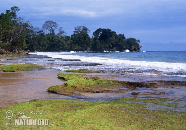 Ostrov Colón (PA)