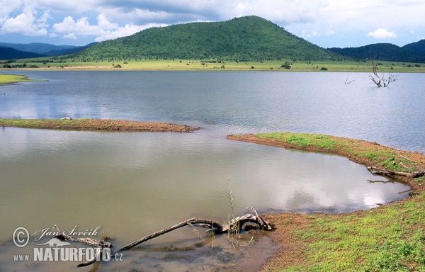 Pilanesberg NP, jezero Mankwe (ZA)