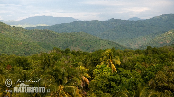 Pohoří Sierra Maestra (C)