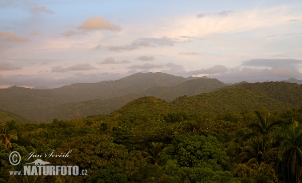 Pohoří Sierra Maestra (C)