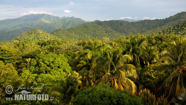 Pohoří Sierra Maestra (C)