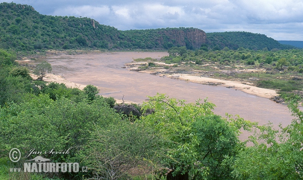 Řeka Olifants, Krugerův NP (ZA)