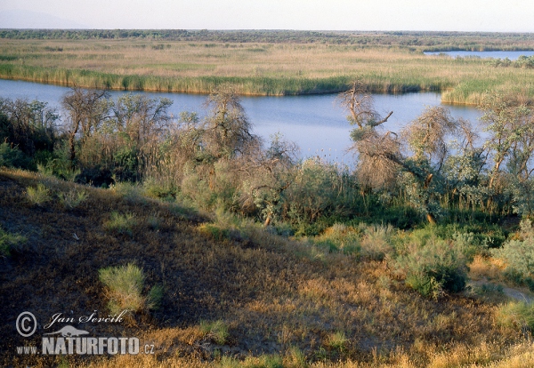 Rezervace, Tigrovaja balka (TAD)