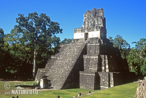 Ruiny mayského města Tikal (GCA)
