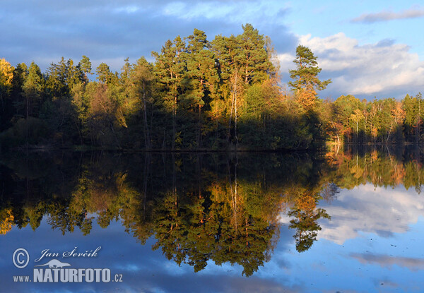 Rybník Nové Jezero (Tre)