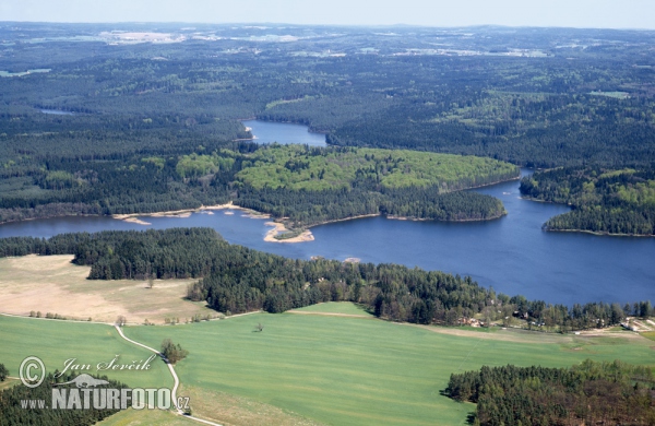 Staňkovský rybník (AIR)