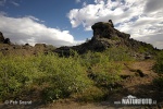 Dimmuborgir (IS)