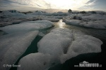 Laguna Jökulsárlón (IS)